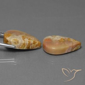 Shop natural 27.92ct Multicolore corail fossile gems, En forme de poire, from Indonésie at GemSelect. In stock, global shipping!