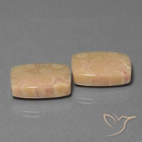Shop natural 24.97ct Multicolore corail fossile gems, Coussin, from Indonésie at GemSelect. In stock, global shipping!