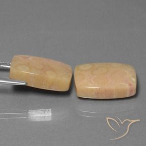 Shop natural 24.97ct Multicolore corail fossile gems, Coussin, from Indonésie at GemSelect. In stock, global shipping!