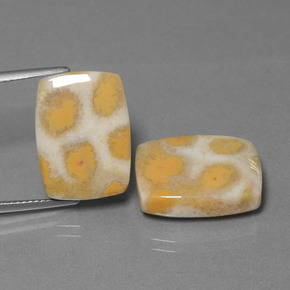 Achetez naturel ct Multicolore Corail fossile gems, Coupe coussin, En provenance Indonésie chez GemSelect. En stock, livraison internationale!