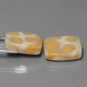 Achetez naturel ct Multicolore Corail fossile gems, Coupe coussin, En provenance Indonésie chez GemSelect. En stock, livraison internationale!