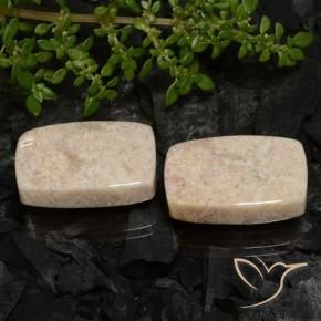 Shop natural 33.38ct Multicolore corail fossile gems, Coussin, from Indonésie at GemSelect. In stock, global shipping!