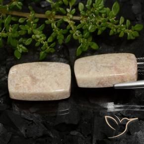 Shop natural 33.38ct Multicolore corail fossile gems, Coussin, from Indonésie at GemSelect. In stock, global shipping!