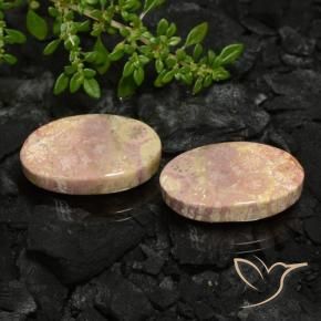Shop natural 22.59ct Multicolore corail fossile gems, ovale, from Indonésie at GemSelect. In stock, global shipping!