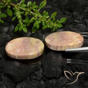 Shop natural 22.59ct Multicolore corail fossile gems, ovale, from Indonésie at GemSelect. In stock, global shipping!