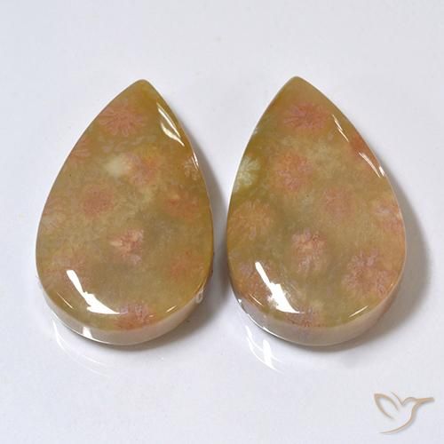 26.41ctw Naturel Multicolore Corail fossile, En forme de poire, Opaque