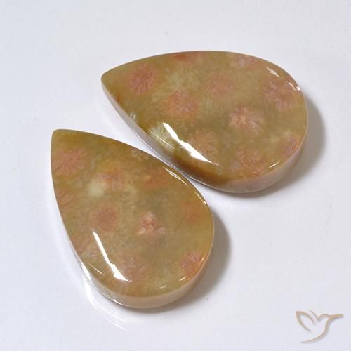 Shop natural 26.41ct Multicolore corail fossile gems, En forme de poire, from Indonésie at GemSelect. In stock, global shipping!