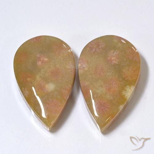 Shop natural 26.41ct Multicolore corail fossile gems, En forme de poire, from Indonésie at GemSelect. In stock, global shipping!