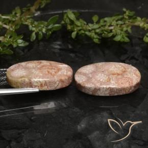 Shop natural 19.81ct Multicolore Corail fossile gems, ovale, from Indonésie at GemSelect. In stock, global shipping!