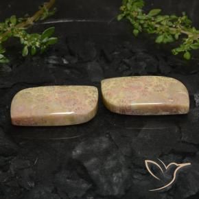 Shop natural 27.40ct Multicolore corail fossile gems, Fantaisie, from Indonésie at GemSelect. In stock, global shipping!