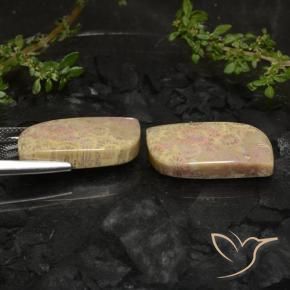 Shop natural 27.40ct Multicolore corail fossile gems, Fantaisie, from Indonésie at GemSelect. In stock, global shipping!