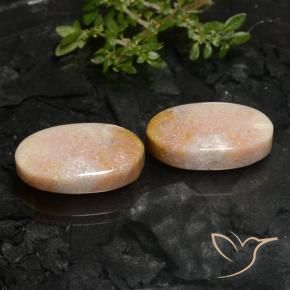 Shop natural 22.59ct Multicolore corail fossile gems, ovale, from Indonésie at GemSelect. In stock, global shipping!