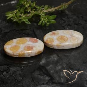 Shop natural 22.45ct Multicolore corail fossile gems, ovale, from Indonésie at GemSelect. In stock, global shipping!