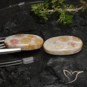 Shop natural 22.45ct Multicolore corail fossile gems, ovale, from Indonésie at GemSelect. In stock, global shipping!