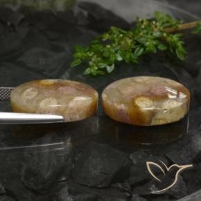 Shop natural 33.89ct Multicolore corail fossile gems, ovale, from Indonésie at GemSelect. In stock, global shipping!