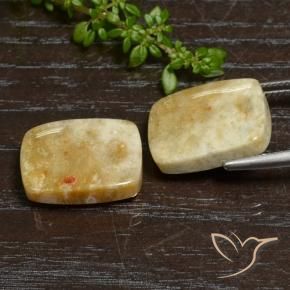 Shop natural 21.65ct Multicolore corail fossile gems, Coussin, from Indonésie at GemSelect. In stock, global shipping!