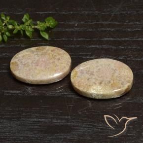 Shop natural 29.83ct Multicolore Corail fossile gems, ovale, from Indonésie at GemSelect. In stock, global shipping!