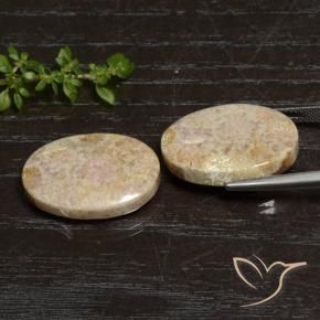 Shop natural 29.83ct Multicolore Corail fossile gems, ovale, from Indonésie at GemSelect. In stock, global shipping!