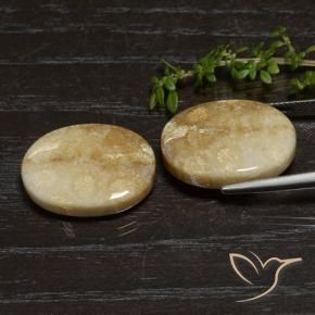 Shop natural 33.11ct Multicolore Corail fossile gems, ovale, from Indonésie at GemSelect. In stock, global shipping!
