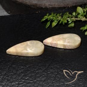 Shop natural 19.11ct Multicolore corail fossile gems, En forme de poire, from Indonésie at GemSelect. In stock, global shipping!