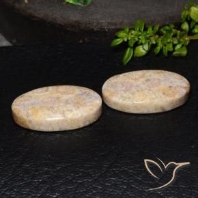 Shop natural 34.13ct Multicolore corail fossile gems, ovale, from Indonésie at GemSelect. In stock, global shipping!