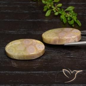 Shop natural 23.84ct Multicolore corail fossile gems, ovale, from Indonésie at GemSelect. In stock, global shipping!