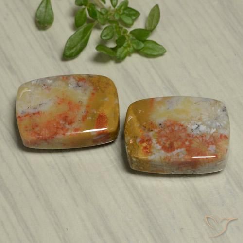 Shop natural 22.48ct Multicolore corail fossile gems, Coussin, from Indonésie at GemSelect. In stock, global shipping!