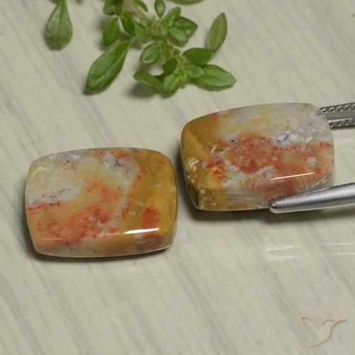 Shop natural 22.48ct Multicolore corail fossile gems, Coussin, from Indonésie at GemSelect. In stock, global shipping!