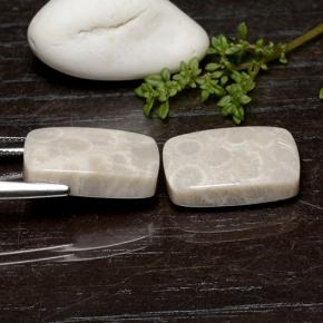 Achetez naturel 25.59ct Multicolore Corail fossile gems, Coupe coussin, En provenance Indonésie chez GemSelect. En stock, livraison internationale!