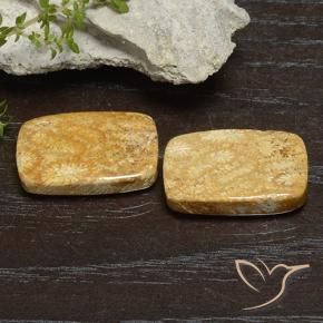 Shop natural 26.68ct Multicolore corail fossile gems, Coussin, from Indonésie at GemSelect. In stock, global shipping!