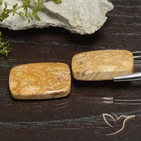 Shop natural 26.68ct Multicolore corail fossile gems, Coussin, from Indonésie at GemSelect. In stock, global shipping!