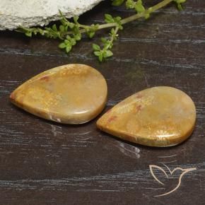 Shop natural 23.49ct Multicolore corail fossile gems, En forme de poire, from Indonésie at GemSelect. In stock, global shipping!