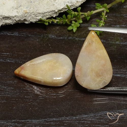 16.56ctw Naturel Multicolore corail fossile, En forme de poire, Opaque