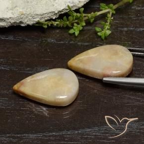 Shop natural 16.56ct Multicolore corail fossile gems, En forme de poire, from Indonésie at GemSelect. In stock, global shipping!