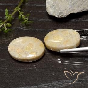 Shop natural 20.54ct Multicolore corail fossile gems, ovale, from Indonésie at GemSelect. In stock, global shipping!