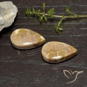 Shop natural 25.11ct Multicolore corail fossile gems, En forme de poire, from Indonésie at GemSelect. In stock, global shipping!
