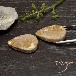 Shop natural 25.11ct Multicolore corail fossile gems, En forme de poire, from Indonésie at GemSelect. In stock, global shipping!