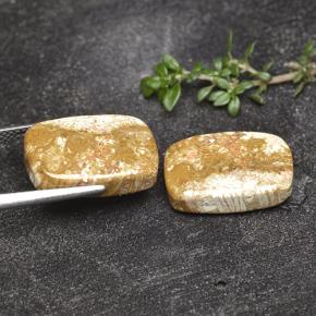 Achetez naturel 16.41ct Multicolore Corail fossile gems, Coupe coussin, En provenance Indonésie chez GemSelect. En stock, livraison internationale!