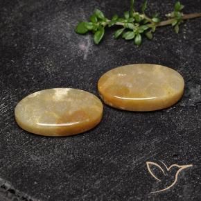 Shop natural 17.47ct Multicolore corail fossile gems, ovale, from Indonésie at GemSelect. In stock, global shipping!