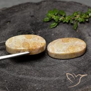 Shop natural 26.31ct Multicolore corail fossile gems, ovale, from Indonésie at GemSelect. In stock, global shipping!