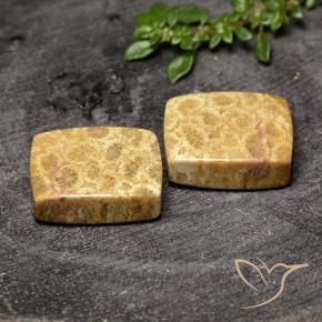 Shop natural 29.63ct Multicolore corail fossile gems, Coussin, from Indonésie at GemSelect. In stock, global shipping!