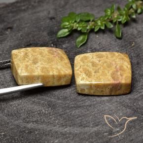 Shop natural 29.63ct Multicolore corail fossile gems, Coussin, from Indonésie at GemSelect. In stock, global shipping!