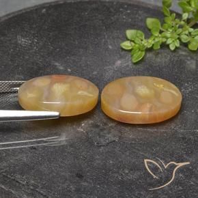 Shop natural 25.17ct Multicolore corail fossile gems, ovale, from Indonésie at GemSelect. In stock, global shipping!