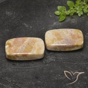 Shop natural 29.36ct Multicolore corail fossile gems, Coussin, from Indonésie at GemSelect. In stock, global shipping!