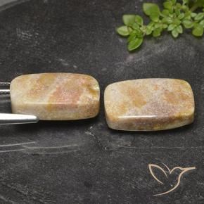 Shop natural 29.36ct Multicolore corail fossile gems, Coussin, from Indonésie at GemSelect. In stock, global shipping!