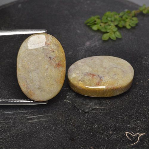 Shop natural 26.36ct Multicolore Corail fossile gems, ovale, from Indonésie at GemSelect. In stock, global shipping!