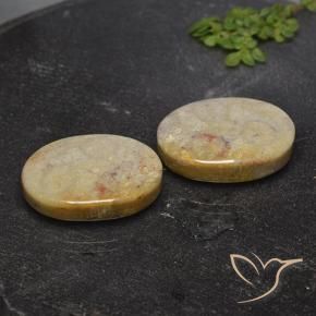 Shop natural 26.36ct Multicolore Corail fossile gems, ovale, from Indonésie at GemSelect. In stock, global shipping!