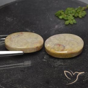 Shop natural 26.36ct Multicolore Corail fossile gems, ovale, from Indonésie at GemSelect. In stock, global shipping!