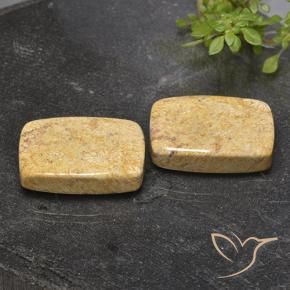 Shop natural 32.76ct Multicolore corail fossile gems, Coussin, from Indonésie at GemSelect. In stock, global shipping!