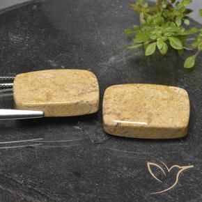 Shop natural 32.76ct Multicolore corail fossile gems, Coussin, from Indonésie at GemSelect. In stock, global shipping!